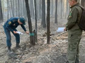 Дознавателями Государственного пожарного надзора Якутии по фактам пожаров возбуждено 24 уголовных дела