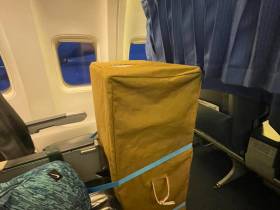 Фламинго Гришу отправили самолетом из Якутска в Красноярск