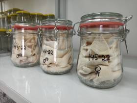 «Студенческий десант» продолжается в Якутии