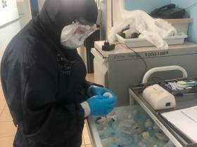 Студенты медицинских колледжей Якутии работают волонтерами