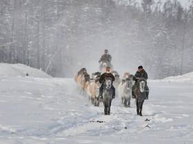 Фото дня. Труд якутских табунщиков глазами фотографа Галины Давыдовой