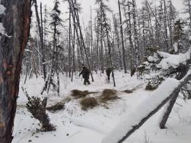 В Национальном парке Якутии «Ленские столбы» помогают пережить зиму диким животным
