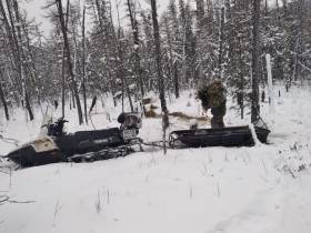 В Национальном парке Якутии «Ленские столбы» помогают пережить зиму диким животным