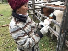 Фермер Сергей Латышев: Начинать что-то новое всегда сложно