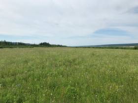 Фермер Сергей Латышев: Начинать что-то новое всегда сложно