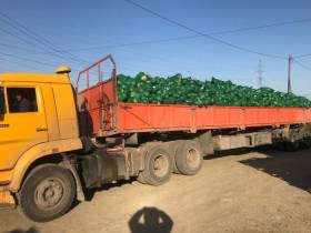 Фермер Сергей Латышев: Начинать что-то новое всегда сложно