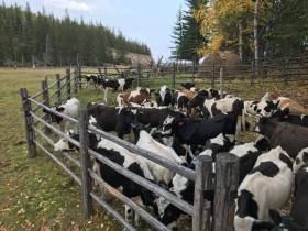 Фермер Сергей Латышев: Начинать что-то новое всегда сложно