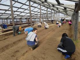 Фермер Сергей Латышев: Начинать что-то новое всегда сложно