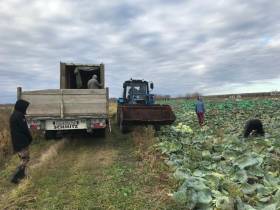 Фермер Сергей Латышев: Начинать что-то новое всегда сложно