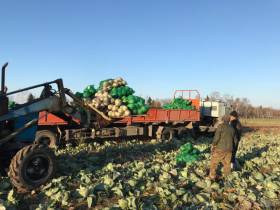 Фермер Сергей Латышев: Начинать что-то новое всегда сложно