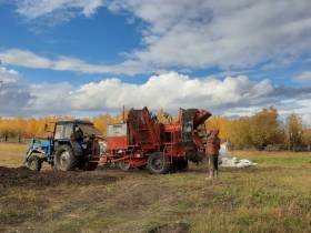 Фермер Сергей Латышев: Начинать что-то новое всегда сложно