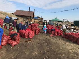 Фермер Сергей Латышев: Начинать что-то новое всегда сложно