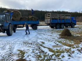 Фермер Сергей Латышев: Начинать что-то новое всегда сложно