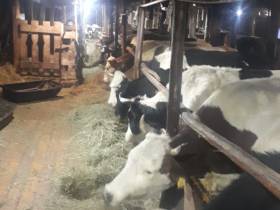 Фермер Сергей Латышев: Начинать что-то новое всегда сложно