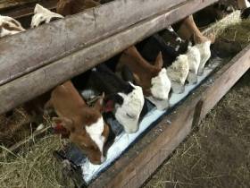 Фермер Сергей Латышев: Начинать что-то новое всегда сложно