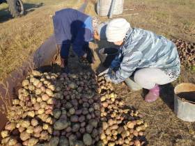 Фермер Сергей Латышев: Начинать что-то новое всегда сложно