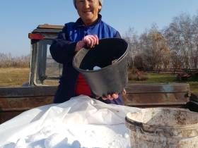 Фермер Сергей Латышев: Начинать что-то новое всегда сложно