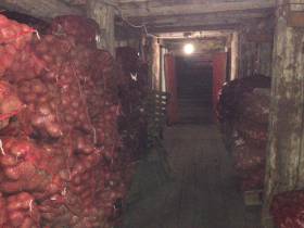 Фермер Сергей Латышев: Начинать что-то новое всегда сложно