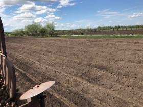 Фермер Сергей Латышев: Начинать что-то новое всегда сложно