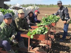 Фермер Сергей Латышев: Начинать что-то новое всегда сложно