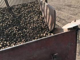 Фермер Сергей Латышев: Начинать что-то новое всегда сложно