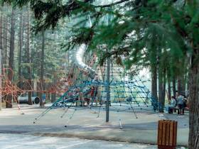 1000 дворов: Отклик ленчан на программу