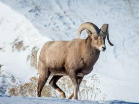 Минэкологии Якутии объявляет фотоконкурс