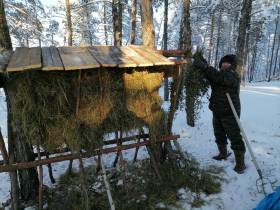 В Якутии общественники начали сезон подкормки лесных обитателей