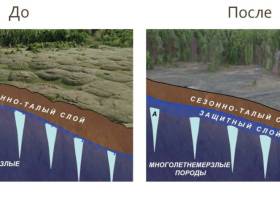 Ко Дню науки. Якутский ученый предлагает решение проблемы деградации мерзлоты при изменениях климата