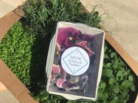 Наталия Мир: Сити-фермерство – это способ обеспечить северный регион качественной продукцией