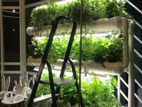 Наталия Мир: Сити-фермерство – это способ обеспечить северный регион качественной продукцией