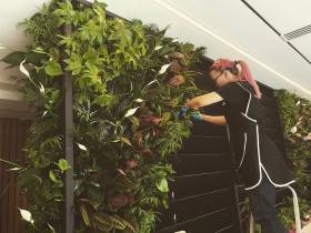 Наталия Мир: Сити-фермерство – это способ обеспечить северный регион качественной продукцией