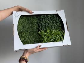 Наталия Мир: Сити-фермерство – это способ обеспечить северный регион качественной продукцией