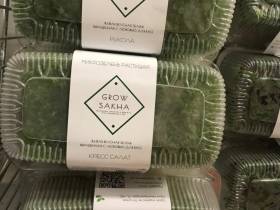 Наталия Мир: Сити-фермерство – это способ обеспечить северный регион качественной продукцией