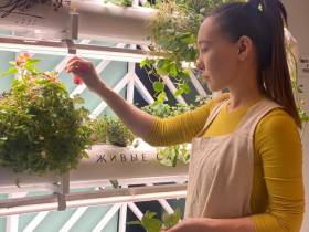 Наталия Мир: Сити-фермерство – это способ обеспечить северный регион качественной продукцией