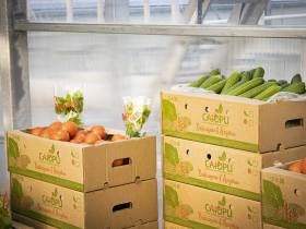 Более 30 предприятий резидентов ТОР и СПВ выращивают овощи и зелень для Дальнего Востока и Арктики