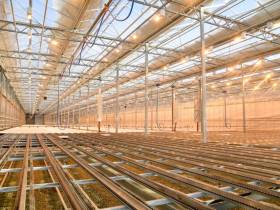 Более 30 предприятий резидентов ТОР и СПВ выращивают овощи и зелень для Дальнего Востока и Арктики