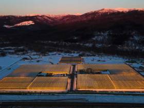 Более 30 предприятий резидентов ТОР и СПВ выращивают овощи и зелень для Дальнего Востока и Арктики