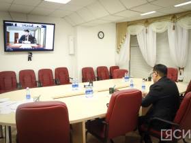 Регионы смогут получить дополнительные полномочия в части обращения с безнадзорными животными