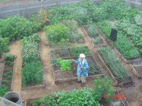 Золотой свадебный юбилей отмечает семья Чемпосовых из Олекминского района Якутии