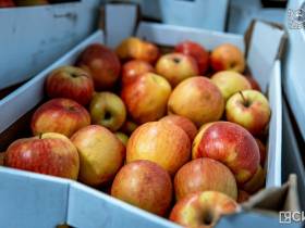 В Якутске открыли оптово-распределительный центр «Якутоптторга»