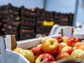 В Якутске открыли оптово-распределительный центр «Якутоптторга»