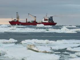 Геологи «Алмазов Анабара» работают на полуострове Таймыр