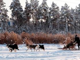 Осужденные женщины из Якутии приняли участие в конкурсе «А ну-ка девушки!»