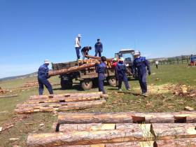 В 2021 году в Якутии трудоустроено более 1,5 тысяч бойцов студенческих отрядов