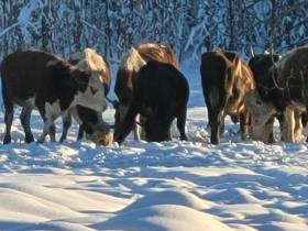 Евдокия Вензель: Мы решились на участие в конкурсе "Агростартап-2022"