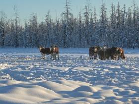 Евдокия Вензель: Мы решились на участие в конкурсе "Агростартап-2022"