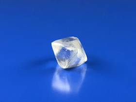 Топ-10 новостей: украинский кризис, чемпионат по борьбе и программа "Агростартап"