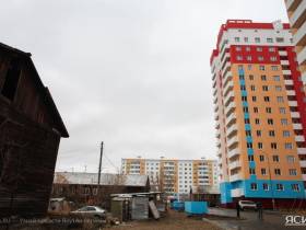 Город для собак. Возможно ли полностью решить проблему с безнадзорными животными в Якутске?