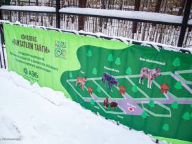 В зоопарке «Орто Дойду» грядет большое новоселье